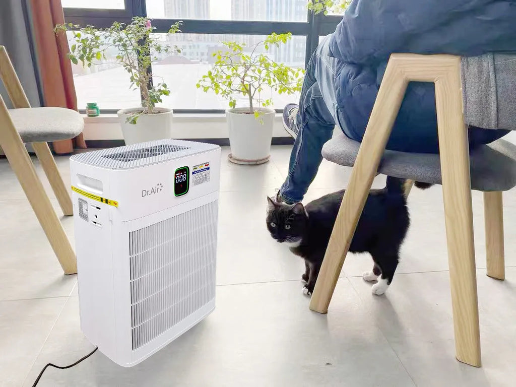 Best choice  Dr.Air P290 Premium Deodorizing Air Purifier Diverse applications, suitable for all living spaces